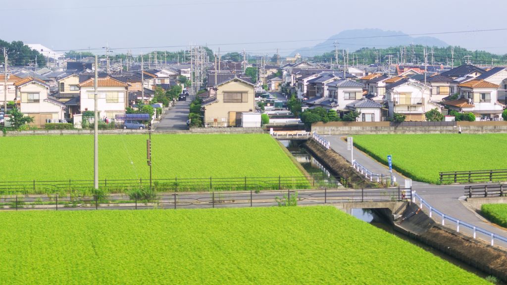 田んぼだった土地に家を建てる注意点：建てられる土地を購入する